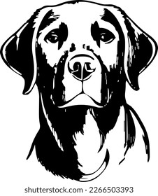Labrador Retriever, dog head, vector illustration, black color, vector image