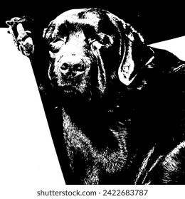Labrador Retriever, dog head, vector illustration, black color, vector image