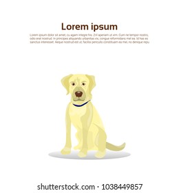 Labrador Retriever Dog Icon Isolated On White Background With Copy Space Flat Vector Illustration