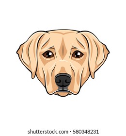 Labrador Retriever dog isolated on white background vector illustration