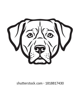 Labrador retriever dog  isolated outlined vector illustration
