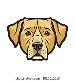 Labrador retriever dog  isolated outlined vector illustration

