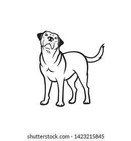 Labrador retriever dog - isolated vector illustration 