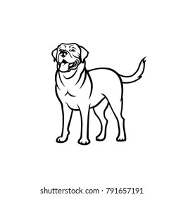 Labrador retriever dog - isolated vector illustration