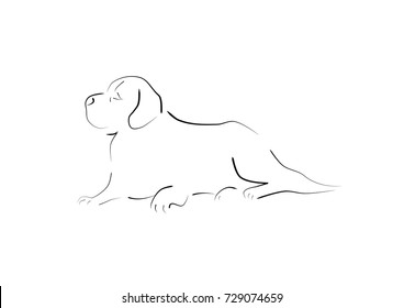 labrador retriever dog lying looking at one side