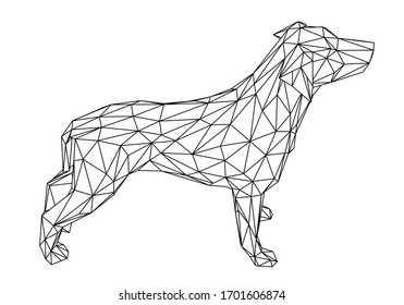 Labrador retriever dog polygonal lines illustration. Abstract vector dog on the white background