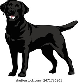 Labrador Retriever Hundeset Silhouette schwarze Vektorgrafik auf weißem Hintergrund,