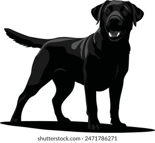 Labrador Retriever Dog set silhouette black vector on white background,