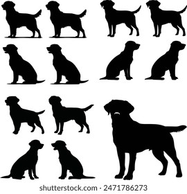 Labrador Retriever Dog set silhouette black vector on white background,