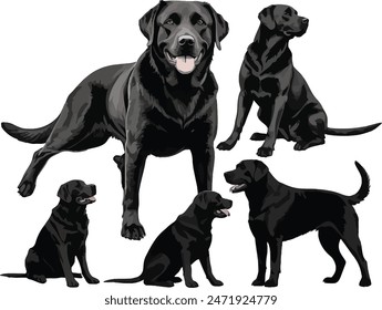 Labrador Retriever Hundeset Silhouette schwarze Vektorgrafik auf weißem Hintergrund