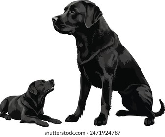 Labrador Retriever Hundeset Silhouette schwarze Vektorgrafik auf weißem Hintergrund