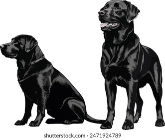 Labrador Retriever Hundeset Silhouette schwarze Vektorgrafik auf weißem Hintergrund