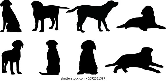 Labrador Recuperador Perro Silhouette Bundle SVG