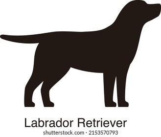 Labrador Retriever dog silhouette, side view, Vektorgrafik