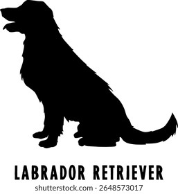 Silhueta de cão labrador retriever Vetor