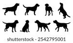 labrador retriever dog silhouettes set