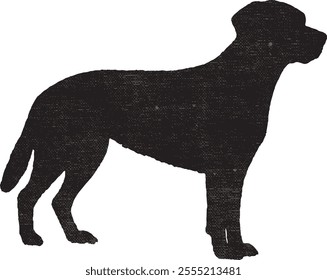 Labrador Retriever Dog in vector format with vintage (Grunge) effect