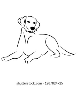 Labrador Retriever Dog Vector Illusreator Stock Vector (Royalty Free ...