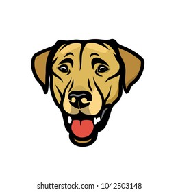 Labrador retriever dog - vector illustration