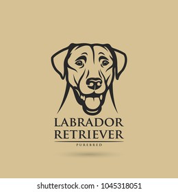 Labrador Retriever Dog - Vector Illustration