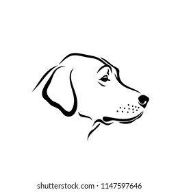 Labrador retriever dog - vector illustration