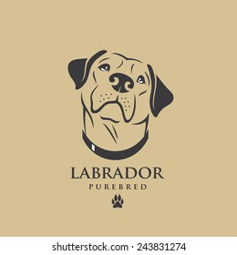 Perro recuperador Labrador - ilustración vectorial