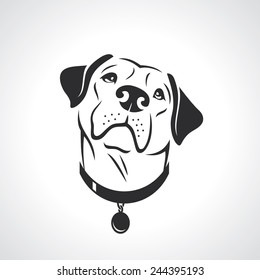 Labrador retriever dog - vector illustration