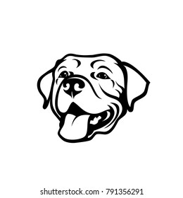 Labrador retriever dog - vector illustration