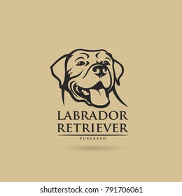 Labrador Retriever dog - vector illustration