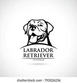 Labrador Retriever dog - vector illustration