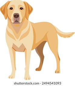 Labrador Retriever  Dog  vector style,Clipart , Illustration with white background