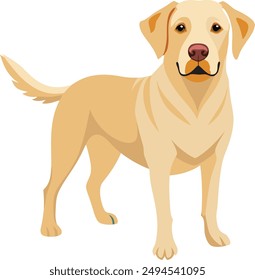 Labrador Retriever  Dog  vector style,Clipart , Illustration with white background