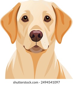 Labrador Retriever  Dog  vector style,Clipart , Illustration with white background