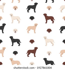 Labrador retriever dogs in different poses and coat colors. Seamless pattern.  Vector illustration