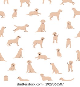 Labrador retriever dogs in different poses and coat colors. Seamless pattern.  Vector illustration
