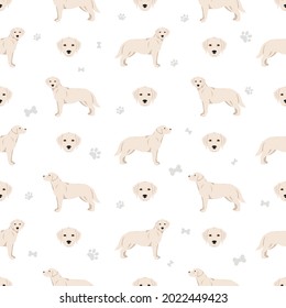 Labrador retriever dogs in different poses and coat colors seamless pattern. Vector illustration