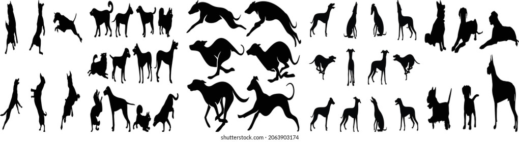 Labrador retriever dogs in different poses and coat colors,Dog silhouette