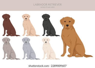 Perros recuperadores de Labrador con diferentes poses y colores de abrigo se inclinan. Ilustración del vector