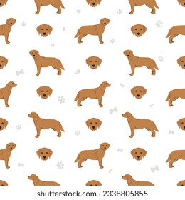 Labrador retriever dogs in different poses and coat colors seamless pattern. Vector illustration