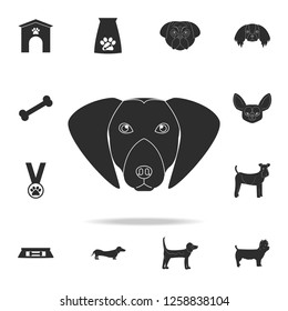 labrador retriever face icon. Detailed set of dog silhouette icons. Premium graphic design. One of the collection icons for websites, web design, mobile app