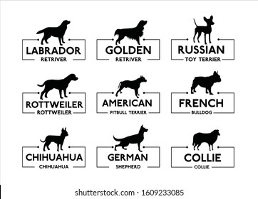 Labrador Retriever, Golden retriever, Russian toy terrier, Rottweiler, American pit bull terrier, French bulldog, Chihuahua, German shepherd,
Collie. Dog vector icons, set 1