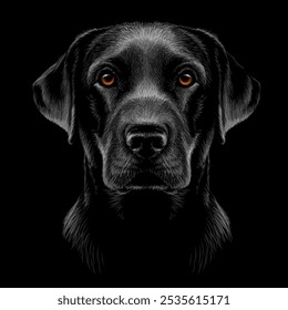 Um labrador recuperador. Retrato gráfico de um labrador preto sobre um fundo preto.