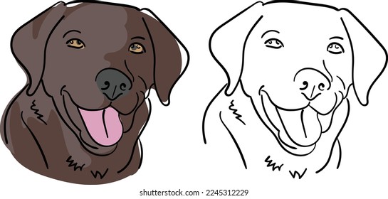 Labrador Retriever hand drawn with color splash. Dog sketch graphic.