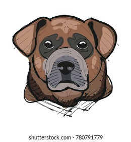 Labrador retriever head vector hand drawing illustration