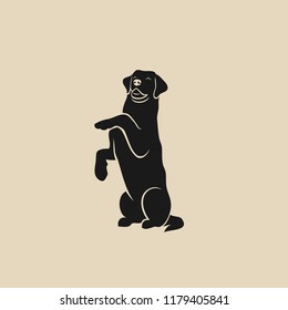 Labrador Retriever - isolated vector illustration