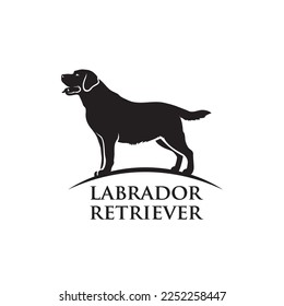 Labrador retriever - einzelne Vektorgrafik