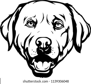 Labrador Retriever Lab dog breed face head isolated pet animal domestic pet canine puppy purebred pedigree hound portrait peeking paws smiling smile happy art artwork illustration design set