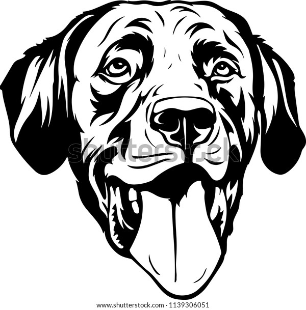 Labrador Retriever Lab Dog Breed Face Stock Vector (Royalty Free ...