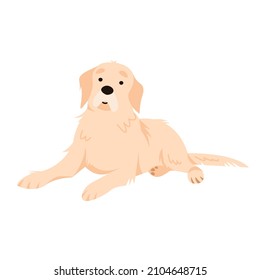 Labrador retriever laying on the floor isolated simple flat vector illustration. Pure hunting breed doggy with cute smile design element.