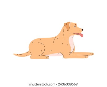 Labrador retriever lies and tongue hanging out vector illustration. Cute friendly pet with beige and white wool. Cartoon dog side view. Domestic canine purebred animal portrait isolated